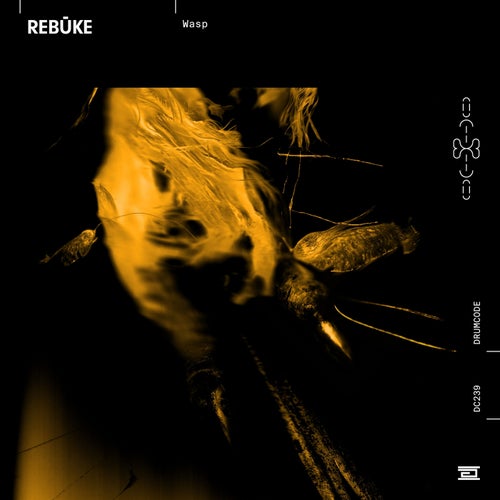 Rebūke presents ‘Wasp’ EP