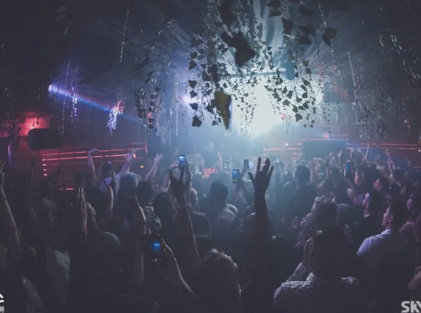Miami Beach Treehouse Nightclub Up For Sale – Taking Bitcoin