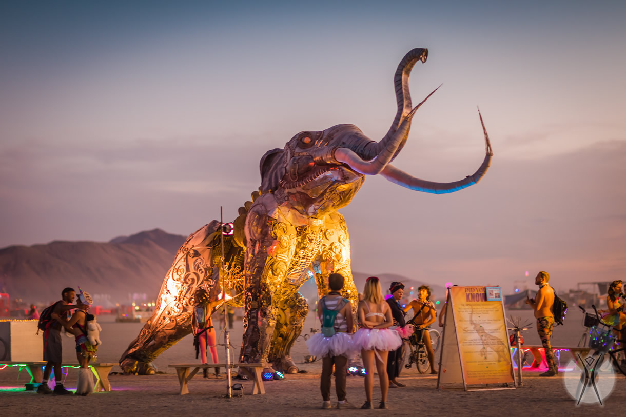 Burning Man to Hold Auction Amid Financial Struggles