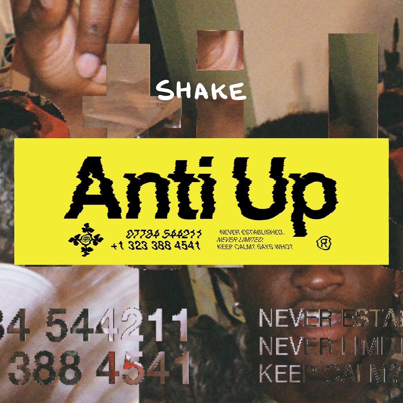 Anti Up – Shake