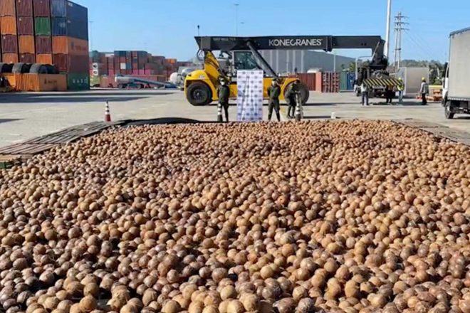 20,000 Coconuts Filled With Cocaine Seized By Colombian Police