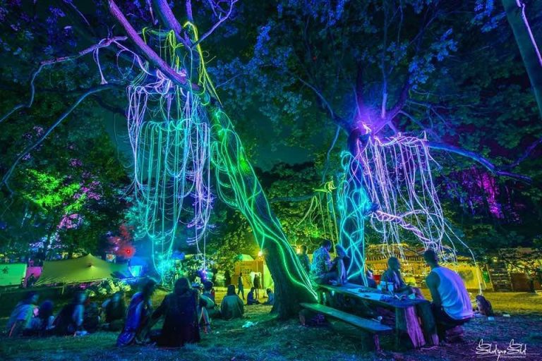 Noisily Returns To Leicestershire’s Coney Woods After 2 Year Hiatus!