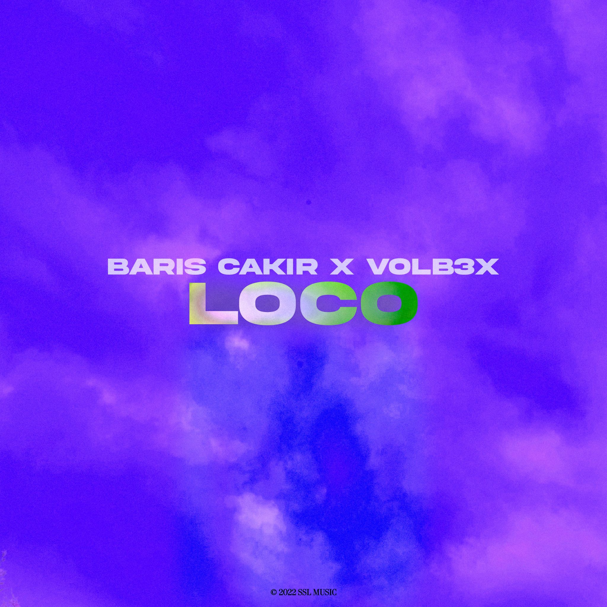 Volb3x. Brand Loco 10. Loco x Leberblume. Dark light volb3x