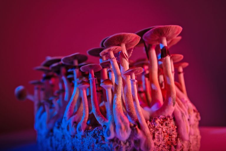 New Study Finds Magic Mushrooms Treat Severe Depression