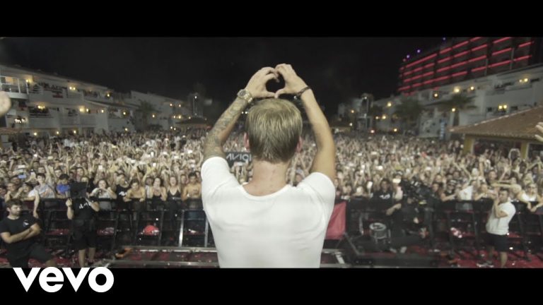[WATCH] Footage of Avicii’s Last Performance Uploaded to His Channel
