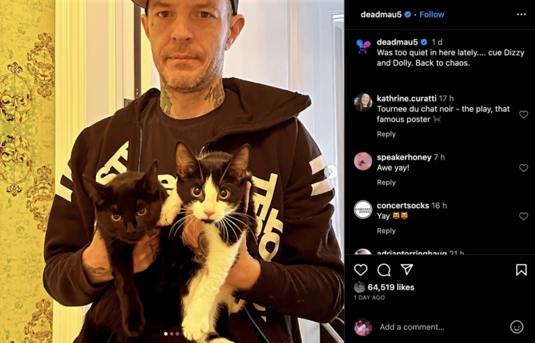 Deadmau5 Gets Two New Cats – Dizzy and Dolly