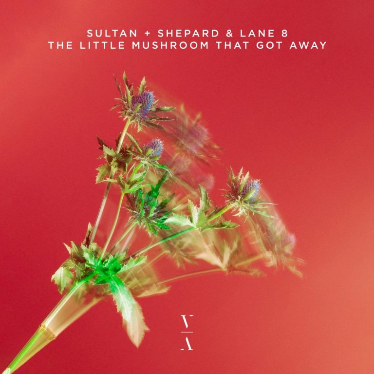 Lane 8 & Sultan + Shepard – The Little Mushroom That Got Away