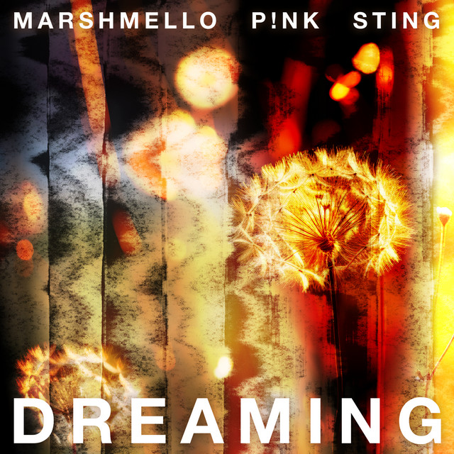 Marshmello, Sting, and P!NK Come Together on ‘Dreaming’