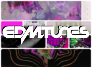 EDMTunes: Year In Tunes – The Top 15 Remixes of 2024