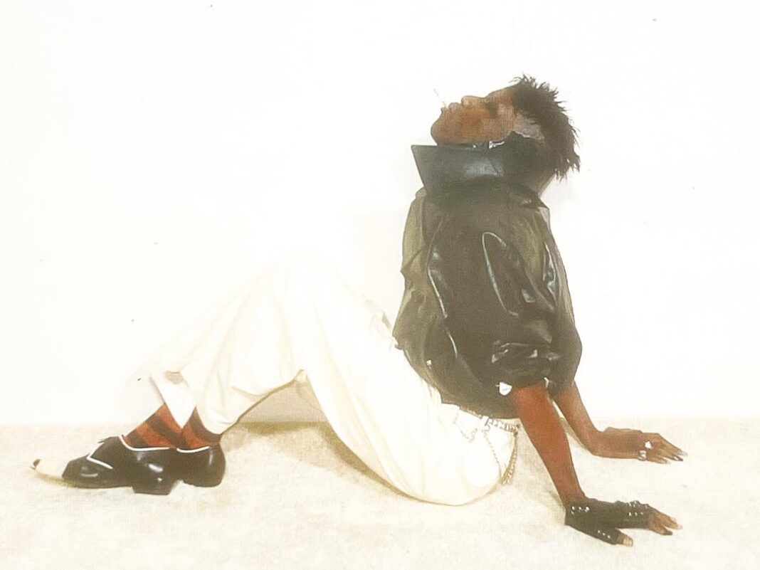 snapins-ai_DISwuuPxsmb